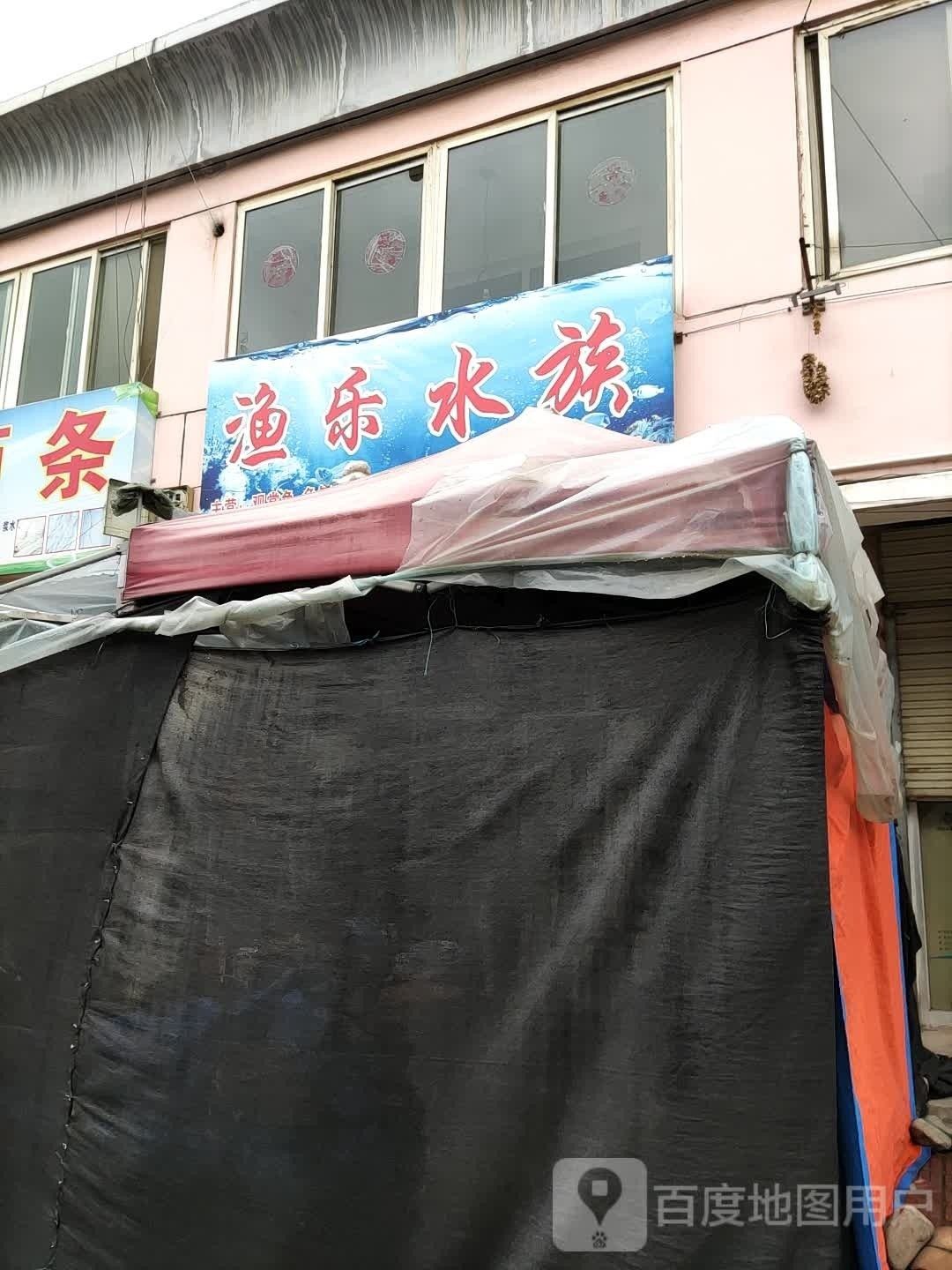 清水哪個水族館龍魚好？祥龍魚場龍魚：天水市清水縣水族館祥龍魚場