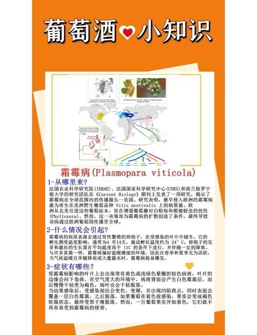 如何預防白霉病的復發？：——預防霉菌性陰道炎怎么預防