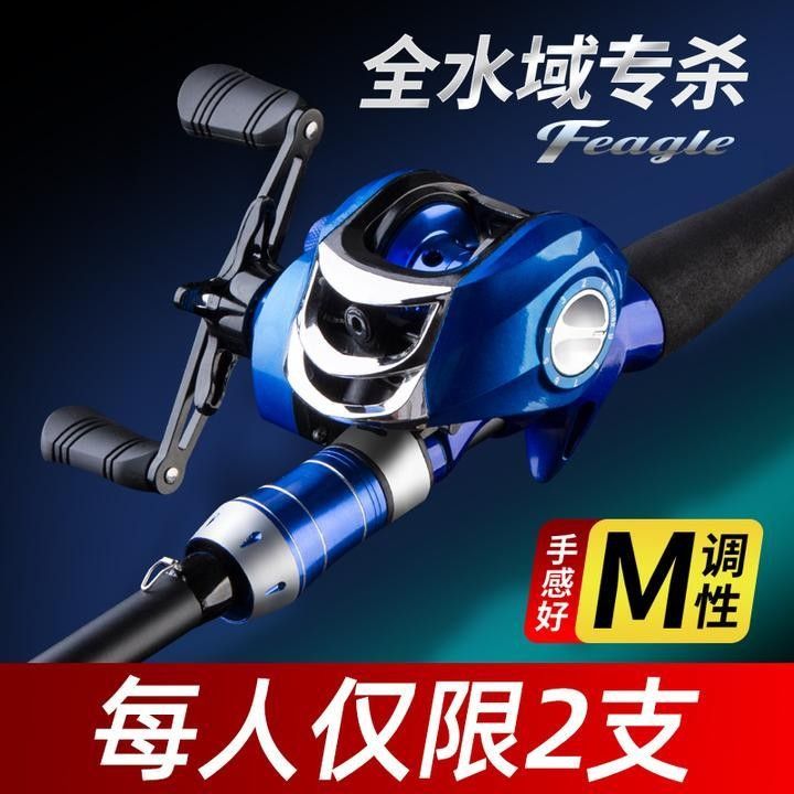 金龍魚和黑魚哪個更兇猛？：黑魚和金龍魚哪個更適合家庭飼養黑魚和金龍魚