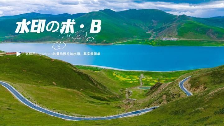 有沒有雷龍魚照片批量處理的模板？：關(guān)于雷龍魚照片批量處理的模板方案結(jié)合專業(yè)工具與高效方法