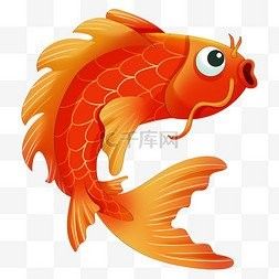 有沒有雷龍魚照片批量處理的模板？：關(guān)于雷龍魚照片批量處理的模板方案結(jié)合專業(yè)工具與高效方法