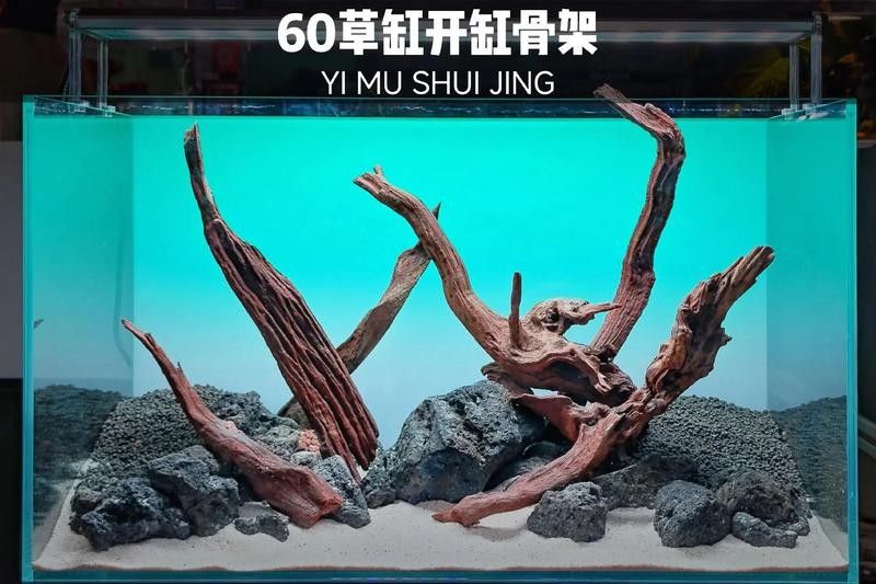 60×30魚(yú)缸適合哪些水草：60×30cm的魚(yú)缸作為中型草缸，適合種植多種水草 60×30魚(yú)缸適合哪些水草：60×30cm的魚(yú)缸作為中型草缸，適合種植多種水草 龍魚(yú)百科 第15張
