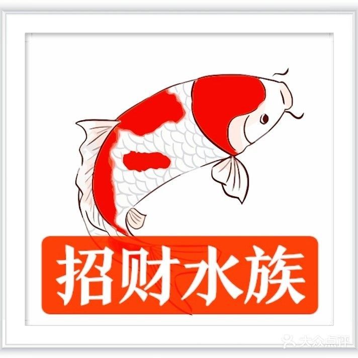 懷來哪個水族館龍魚好？祥龍魚場龍魚：懷柔區有哪些水族館提供龍魚服務