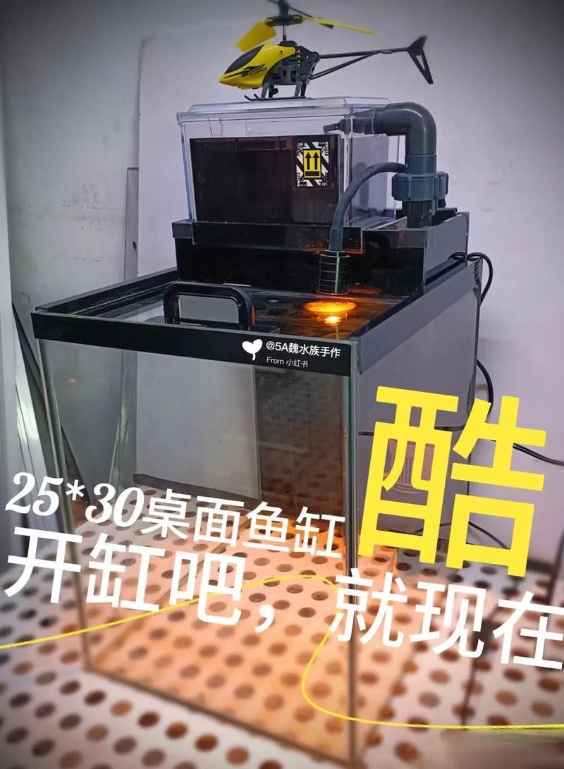 雷龍魚適合多大的魚缸：雷龍魚的飼養攻略