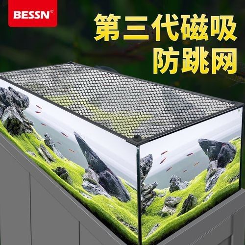 龍魚病毒性疾病的癥狀有哪些，龍魚病毒性疾病有哪些癥狀 龍魚病毒性疾病的癥狀有哪些，龍魚病毒性疾病有哪些癥狀 龍魚百科 第2張