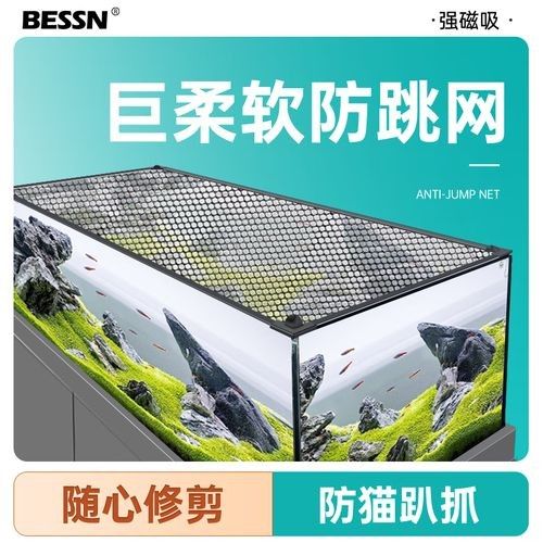 雷龍魚缸蓋的價格范圍是多少：diy雷龍魚缸蓋：省錢又美觀的秘訣
