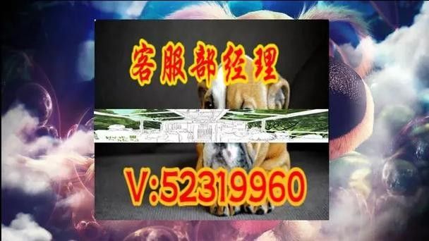 騰龍魚缸的微信客服哪個(gè)更有效？：如何判斷一個(gè)微信客服是否官方認(rèn)證
