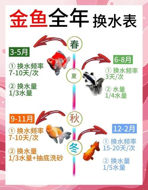 B過金龍魚多久換一次水?:b過金龍魚(即藍底過背金龍魚)的換水頻率與水量全解析 龍魚百科 第5張 B過金龍魚多久換一次水?:b過金龍魚(即藍底過背金龍魚)的換水頻率與水量全解析 B過金龍魚多久換一次水?:b過金龍魚(即藍底過背金龍魚)的換水頻率與水量全解析 龍魚百科 第5張