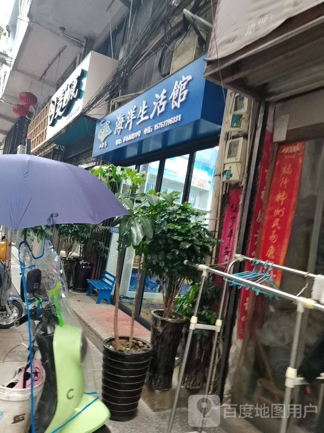 文成哪個(gè)水族館龍魚好？祥龍魚場龍魚：文成縣幸福路祥龍觀賞魚場
