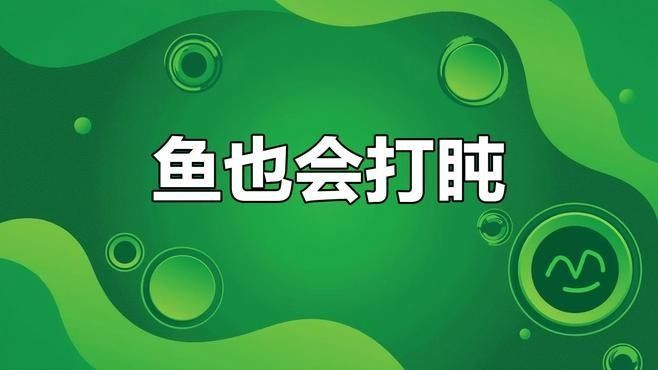 紅龍魚在黑暗中會睡覺嗎？：中科藍(lán)魚，飼養(yǎng)紅龍魚需要注意什么