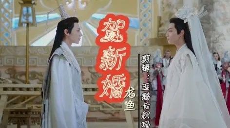 B站有哪些龍魚UP主？：b站與“龍魚”相關的up主內容主要包括以下幾類