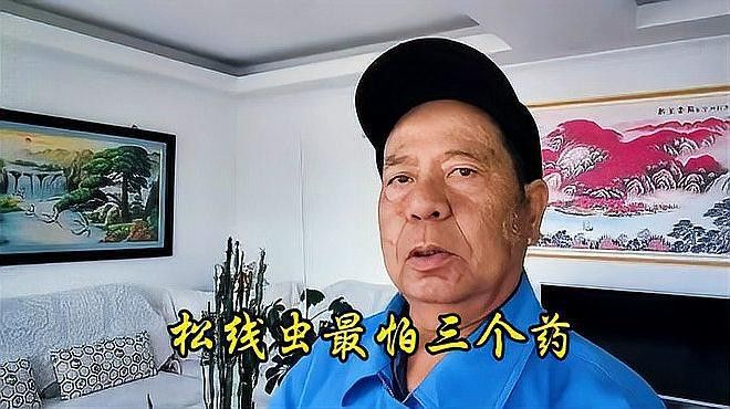 松鱗病會自愈嗎？：如何防治松材線蟲病