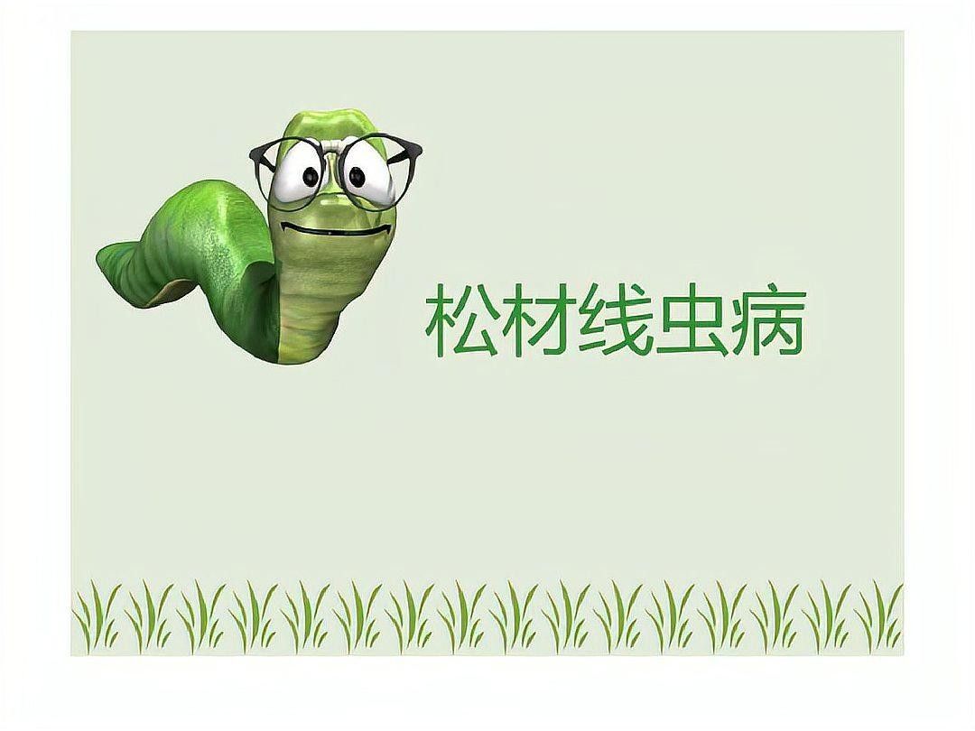 松鱗病會自愈嗎？：如何防治松材線蟲病