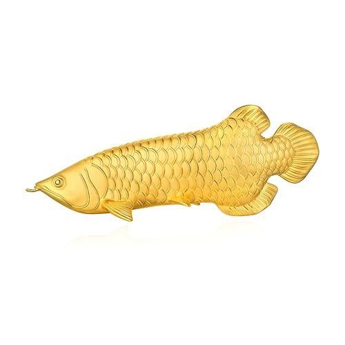 金龍魚有哪些用途：金龍魚具有多種用途