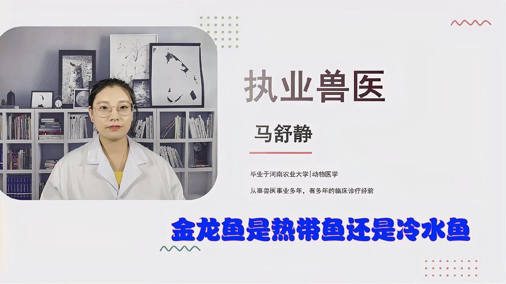 金龍魚有哪些用途：金龍魚具有多種用途