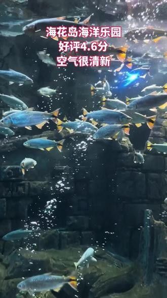 如何聯系成都龍魚閣水族館？：成都龍魚閣水族館