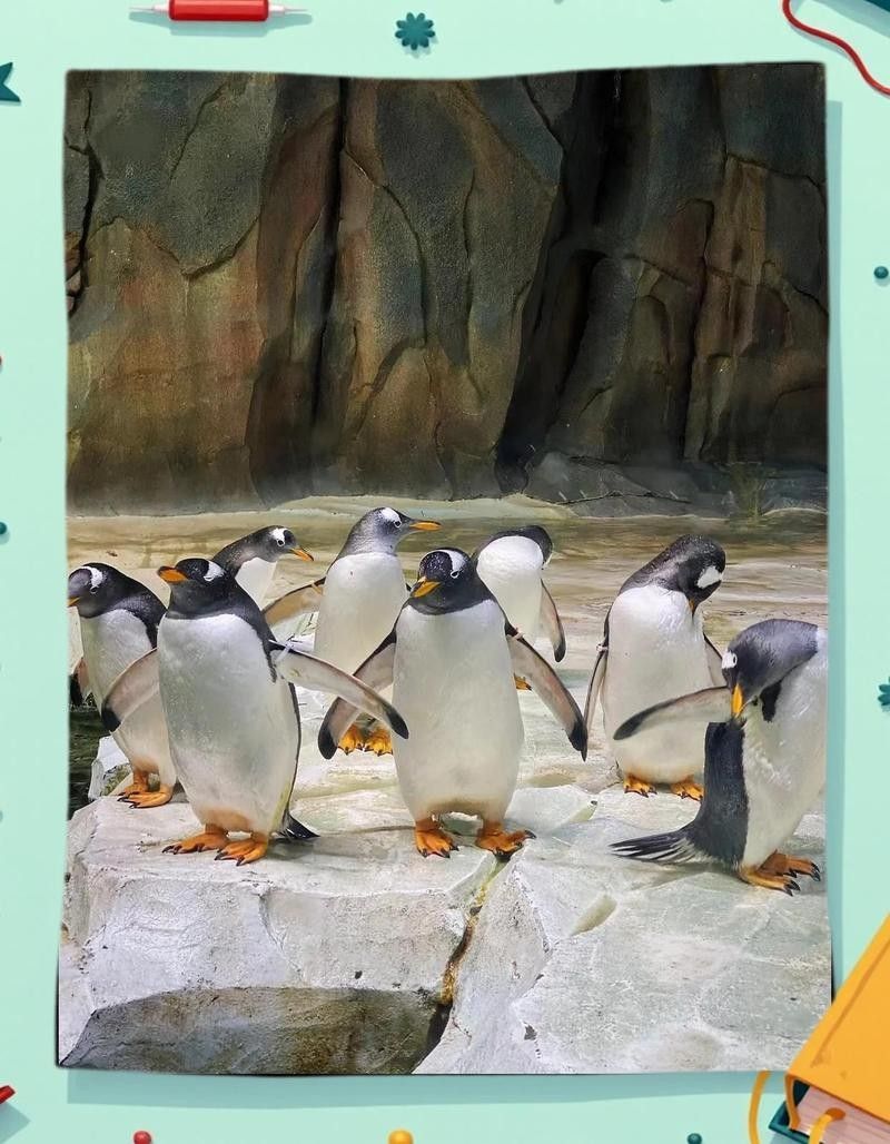 如何聯系成都龍魚閣水族館？：成都龍魚閣水族館