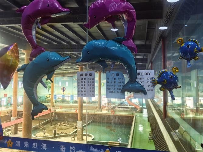 如何聯系成都龍魚閣水族館？：成都龍魚閣水族館