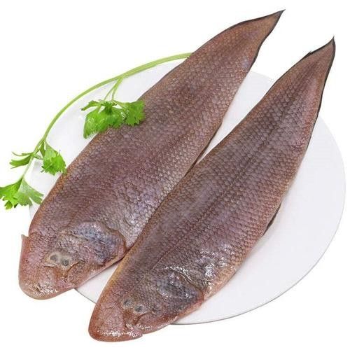 給我推薦一些類似海底飛龍魚的海鮮：“海底飛龍魚”名稱及種類
