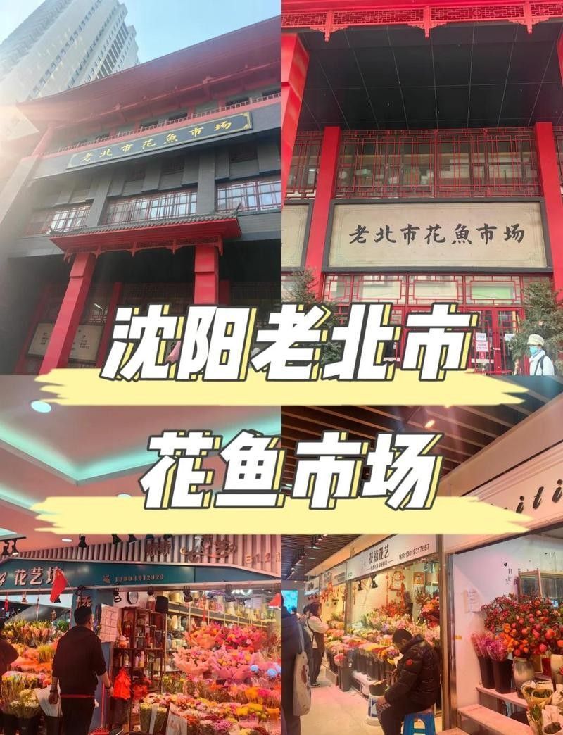 沈陽老北市花鳥魚市場的營業時間：大眾點評，沈陽老北市花鳥魚市場探秘攻略