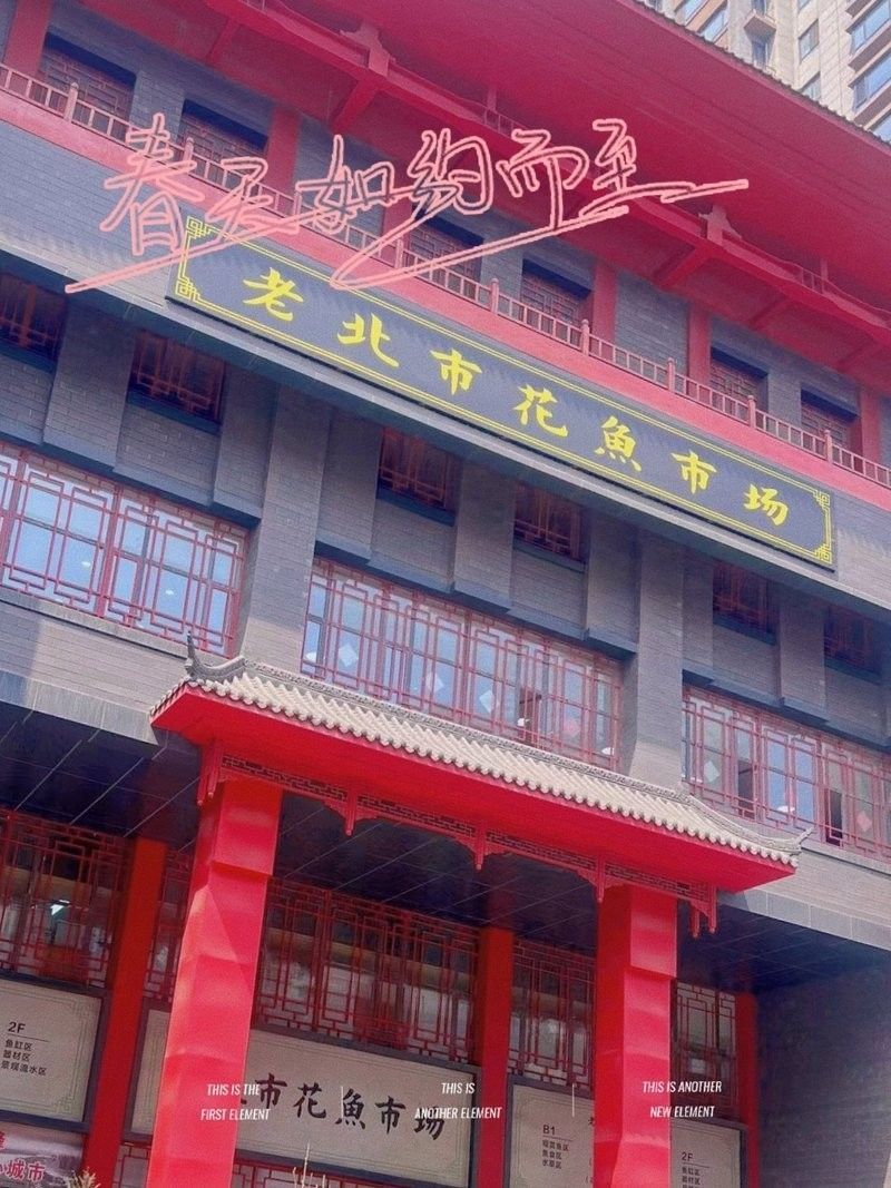 沈陽老北市花鳥魚市場的營業時間：大眾點評，沈陽老北市花鳥魚市場探秘攻略