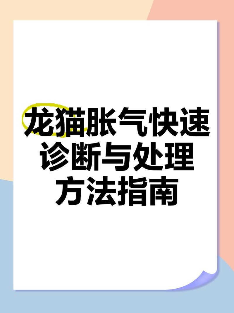 龍貓胃腹脹氣多久會好：龍貓胃腹脹氣恢復時間