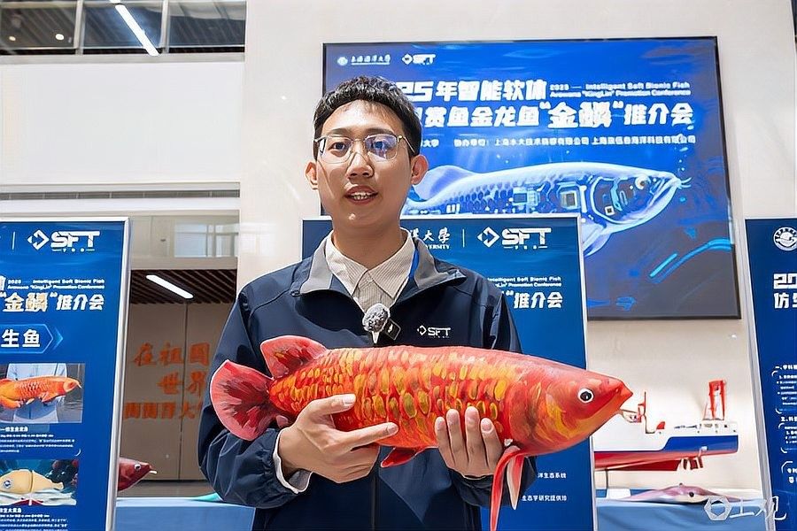 金龍魚最佳游動(dòng)姿態(tài)有哪些拍攝角度：拍攝金龍魚的技巧 金龍魚最佳游動(dòng)姿態(tài)有哪些拍攝角度：拍攝金龍魚的技巧 龍魚百科 第6張