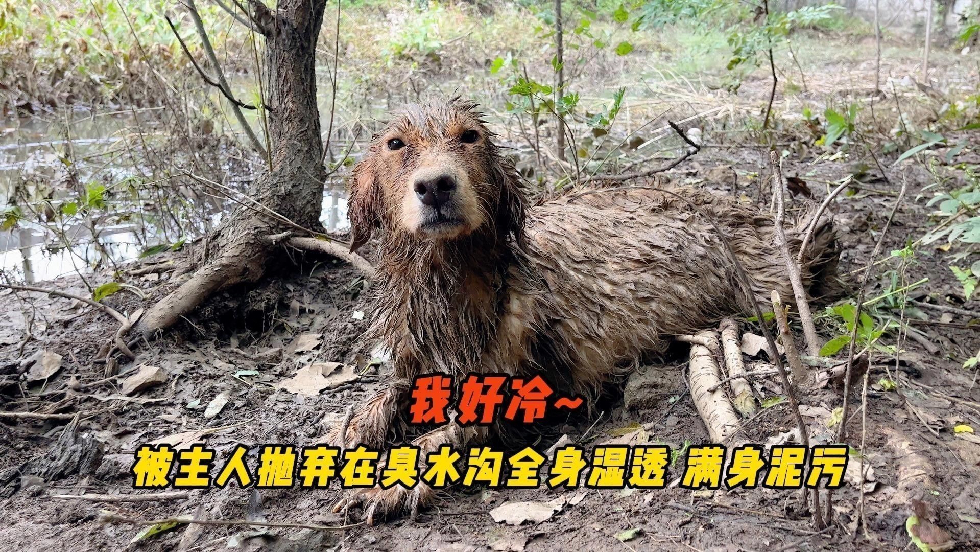 如何判斷腹水是否完全消失？：吳春城主治醫師三甲腹水消退的前兆吳春城主治醫師
