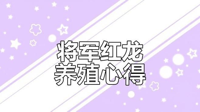 龍睛金魚蒙眼治療步驟清單，龍睛蒙眼治療步驟清單，如何判斷龍睛是否蒙眼