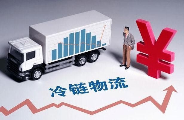 金龍魚碼頭的冷鏈運輸標準：金龍魚碼頭冷凍食品運輸新規定