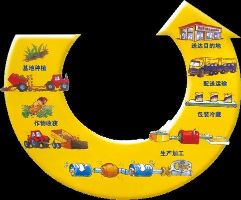 金龍魚碼頭的冷鏈運輸標準：金龍魚碼頭冷凍食品運輸新規定