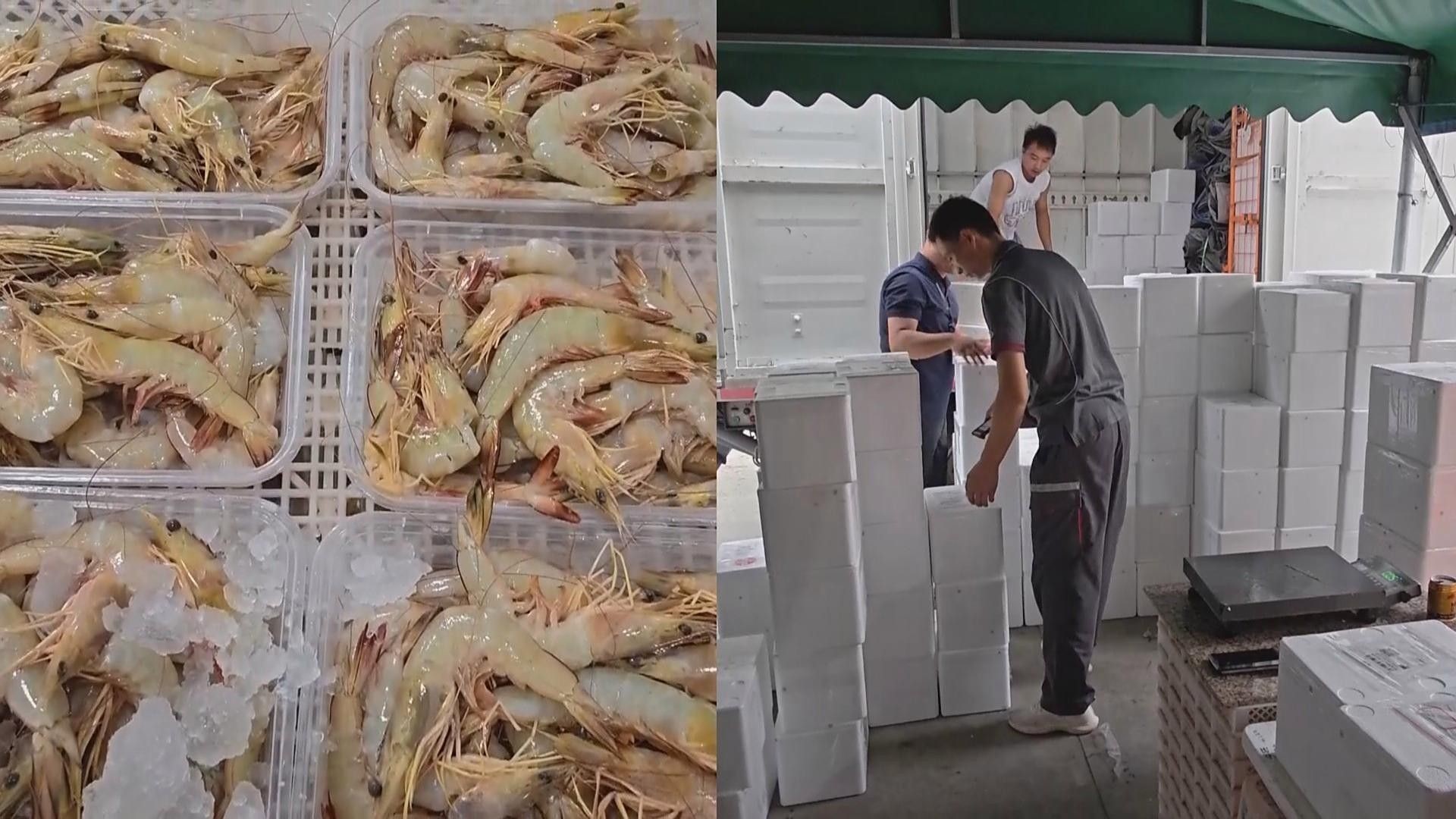 金龍魚碼頭的冷鏈運輸標準：金龍魚碼頭冷凍食品運輸新規定