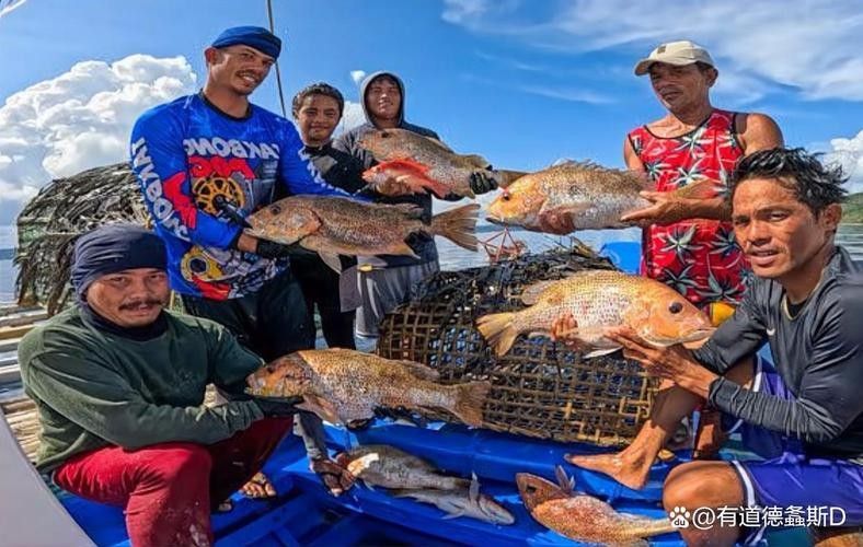 如何聯系印尼大湖漁場驗證血統：如何聯系印尼大湖漁場驗證血統？