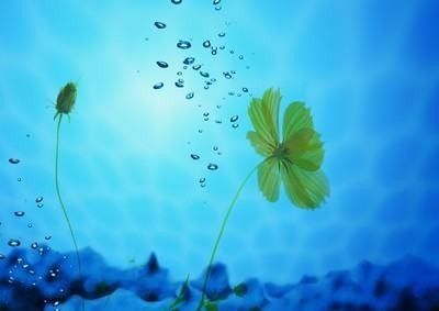 如何用手感感知水溫？：用手感感知水溫是一種常見的經驗但需注意其主觀性和局限性