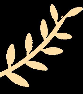龍龜腹甲磨損如何觀察：龍龜腹甲磨損如何治療？