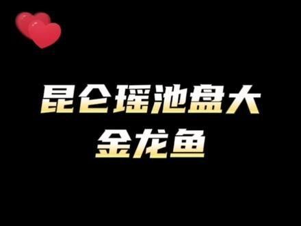 金龍魚釣魚技巧有哪些：抖音釣到一條野生金龍魚野釣原來如此簡單釣魚的人家 金龍魚釣魚技巧有哪些：抖音釣到一條野生金龍魚野釣原來如此簡單釣魚的人家 龍魚百科 第6張