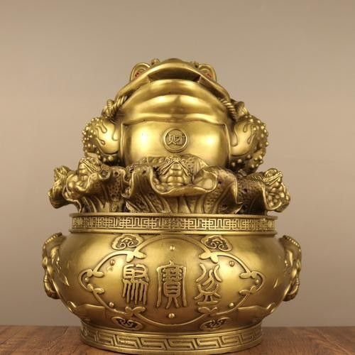 給我一些招財和龍魚混養的圖片：招財魚與龍魚混養的實景圖