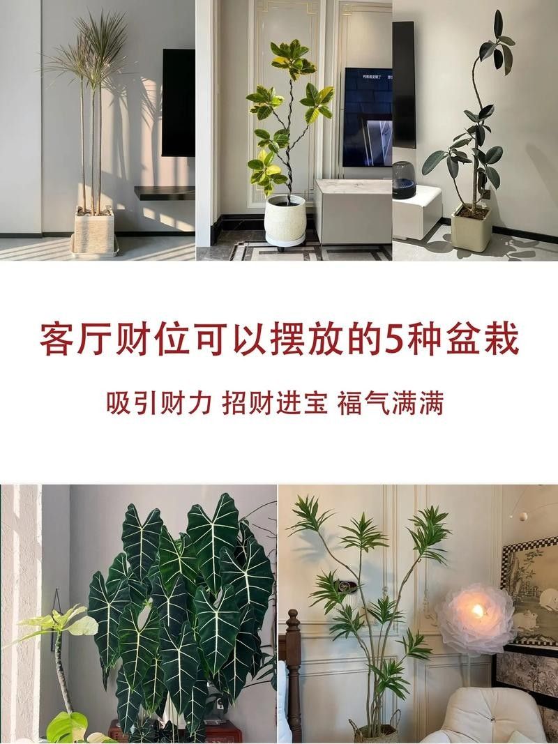 給我一些招財和龍魚混養的圖片：招財魚與龍魚混養的實景圖