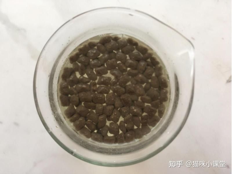 如何檢測白子招財龍飼料是否變質：白子招財龍飼料變質后還能喂嗎