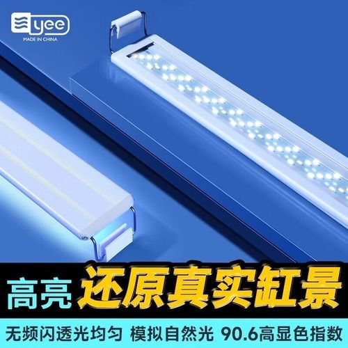 有哪些高品質魚缸燈推薦？：綜合市場口碑和性能表現的高品質魚缸燈推薦