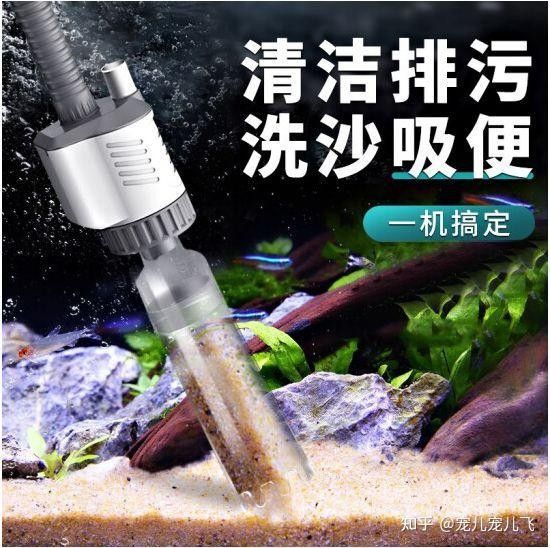 雷龍魚翻砂需要多久清理一次：雷龍魚底砂清理頻率需根據飼養環境和底砂類型綜合判斷