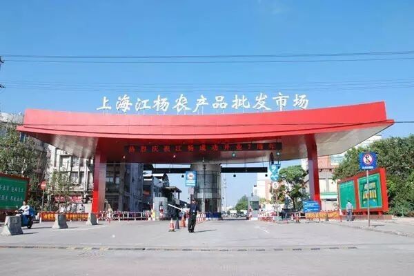 上海哪個龍魚市場最專業：上海專業的水產市場有哪些？