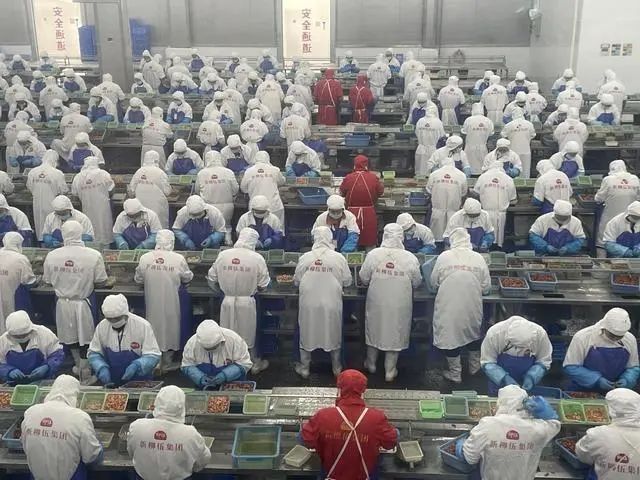 上海哪個龍魚市場最專業：上海專業的水產市場有哪些？
