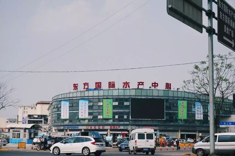 上海哪個龍魚市場最專業：上海專業的水產市場有哪些？