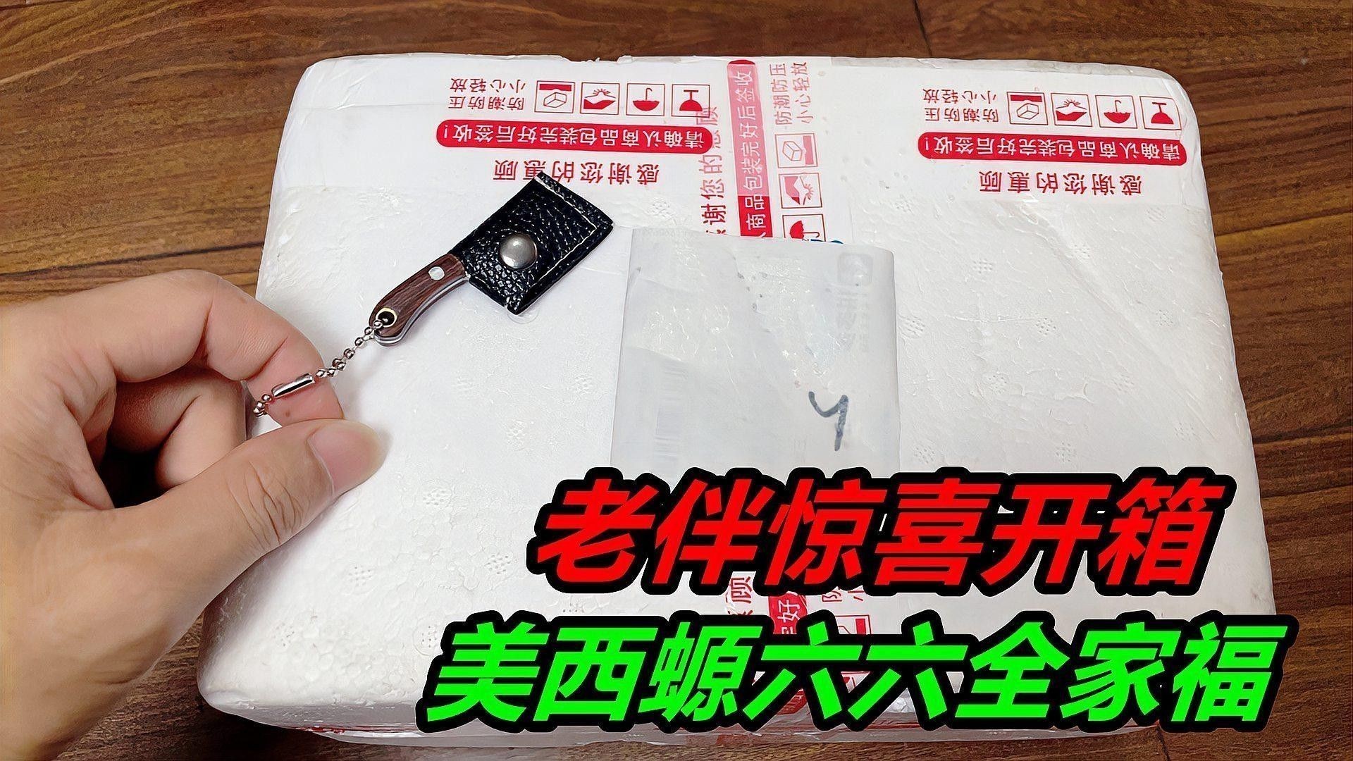 六角龍魚和什么魚混養比較好：六角恐龍魚的混養