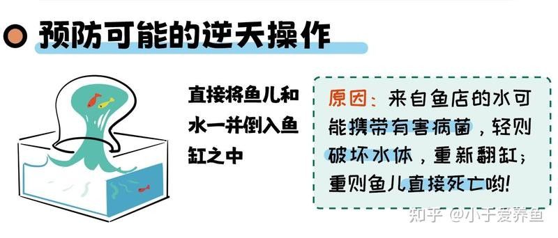 藍曼龍魚換水后多久會適應？：藍曼龍魚換水后多久喂食