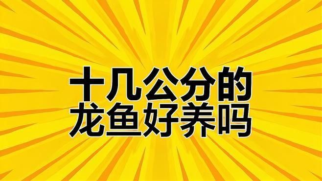 龍魚(yú)飼養(yǎng)難度如何：20-30公分龍魚(yú)飼養(yǎng)技巧與注意事項(xiàng)