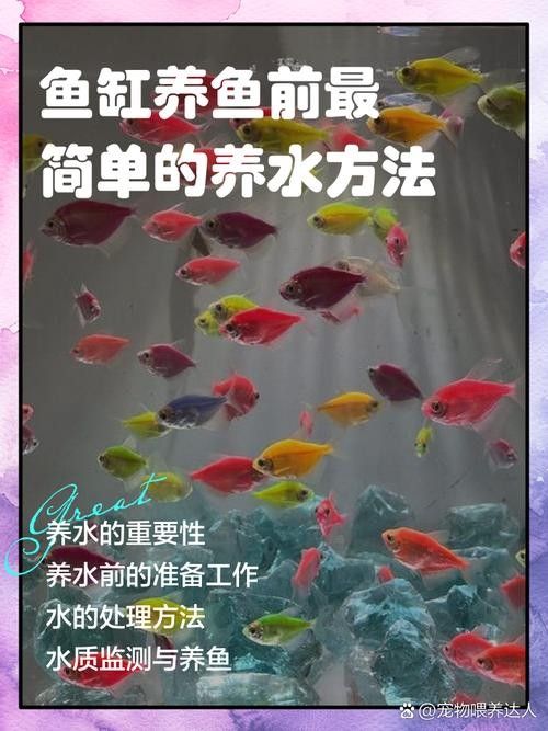 如何為混養魚缸提供穩定的水質？：魚缸水質穩定的秘訣