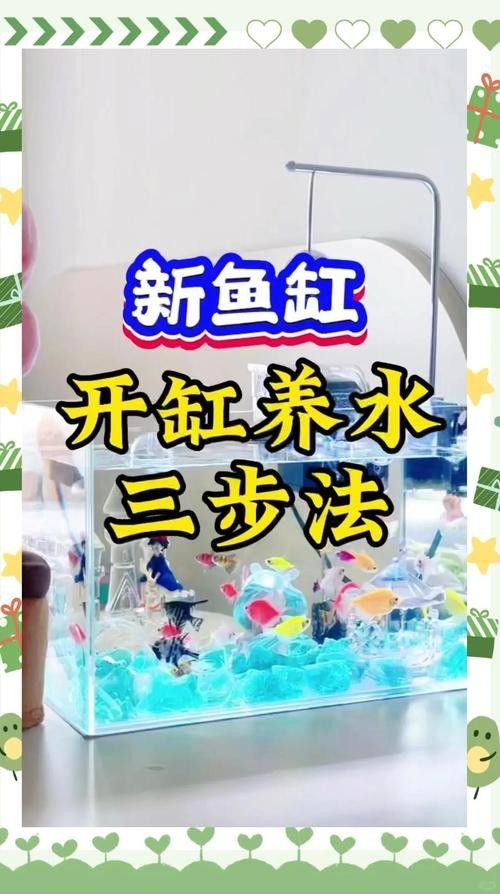 如何為混養魚缸提供穩定的水質？：魚缸水質穩定的秘訣