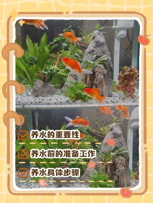如何為混養魚缸提供穩定的水質？：魚缸水質穩定的秘訣